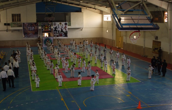 TSD.CHAMP (8)