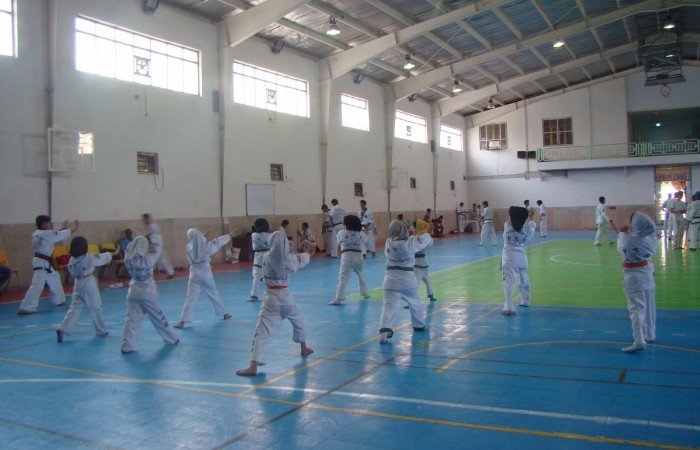 W.TSD (2)
