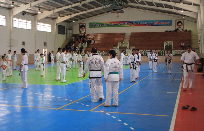 W.TSD (26)