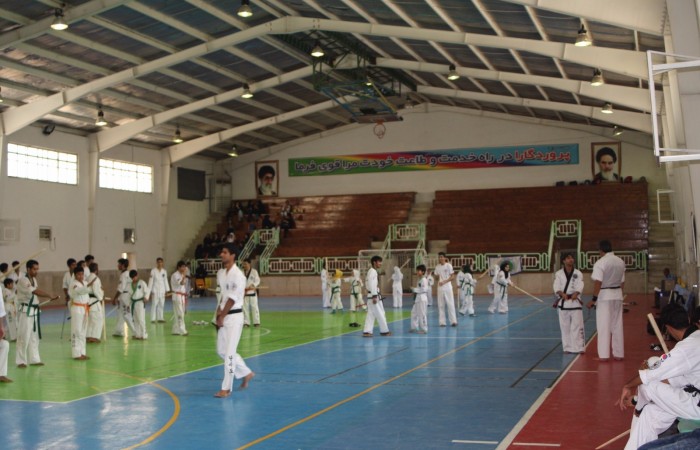 W.TSD (27)