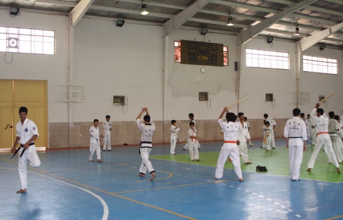 W.TSD (28)