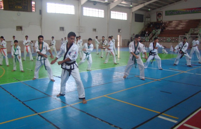 W.TSD (3)