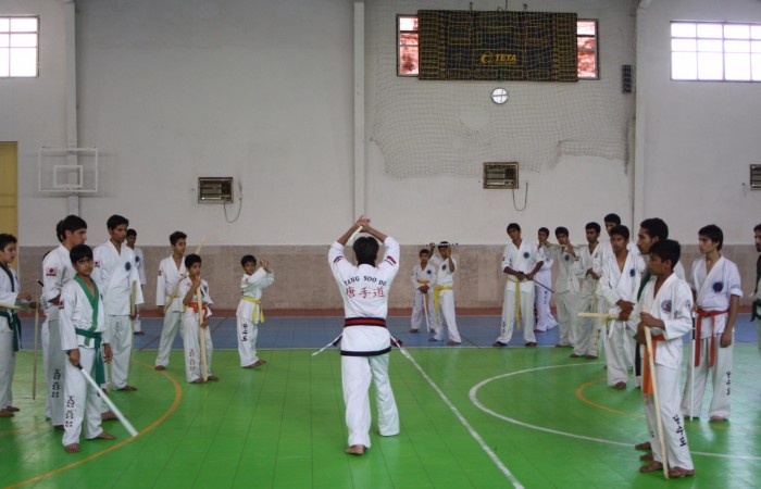 W.TSD (38)