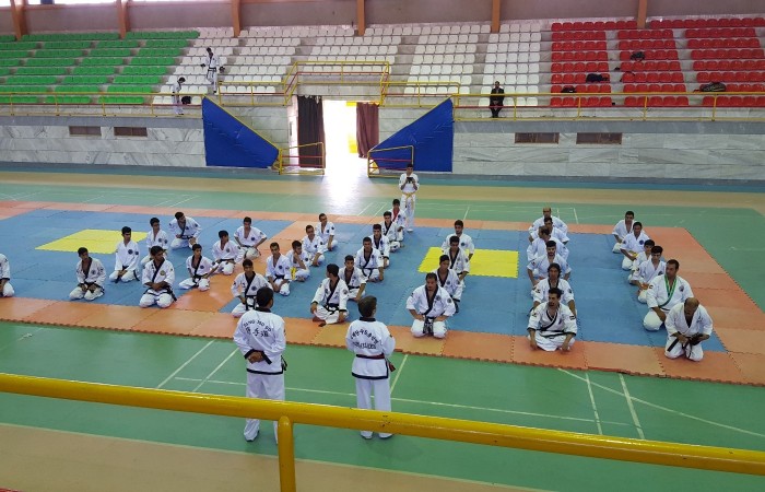 تانگ سودو  (2)